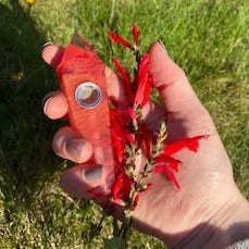 Crystal Hand Pipe