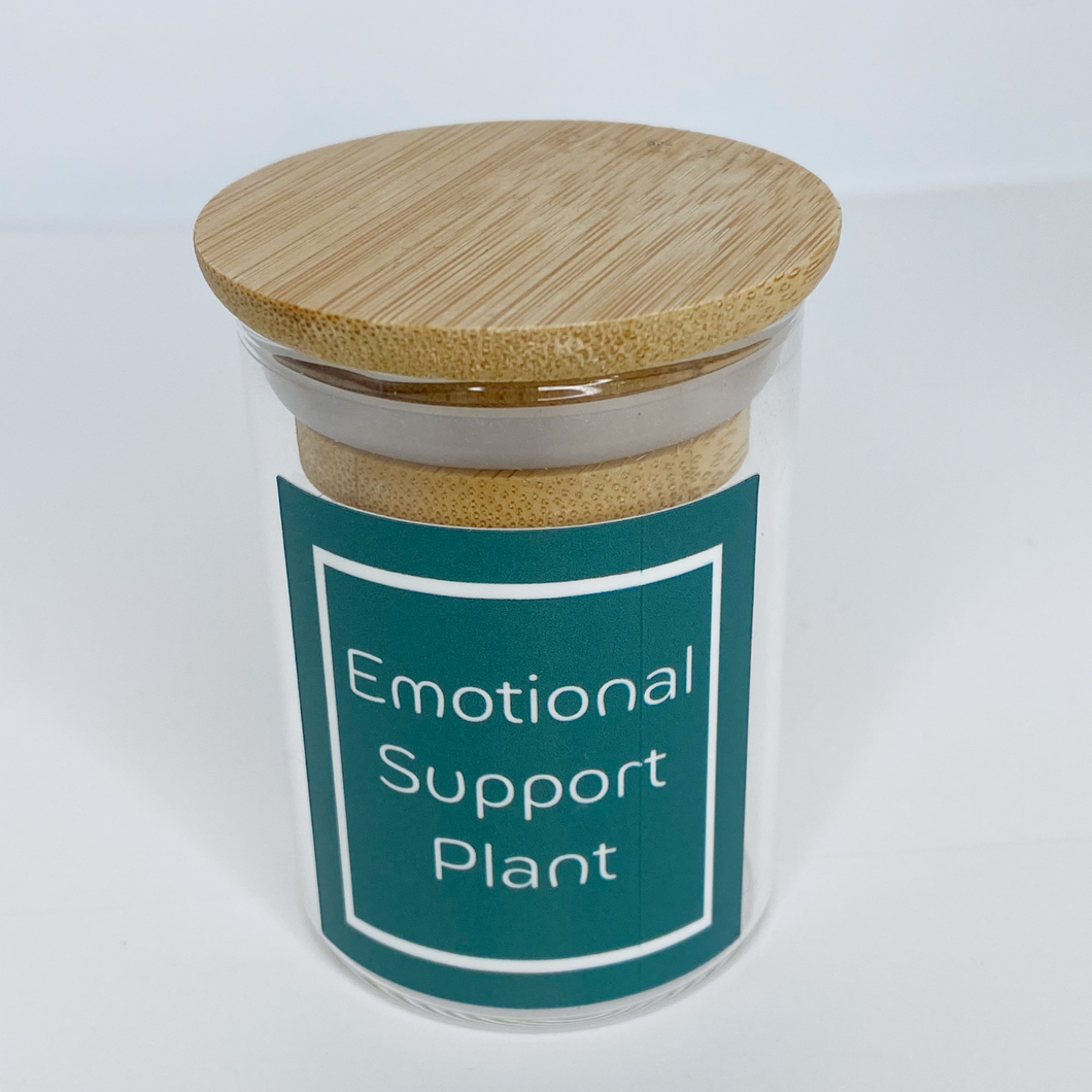 Emotional Support Plant Stash Jar