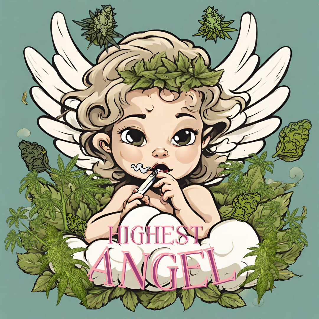 Highest Angel Box- Ships April – SBB