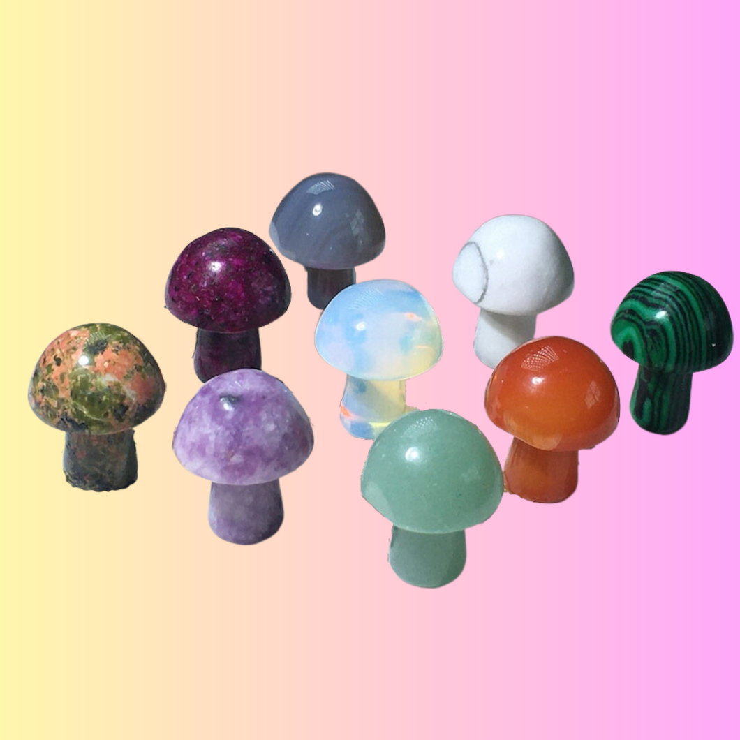 Mushroom Chakra Crystals